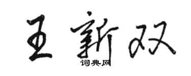 駱恆光王新雙行書個性簽名怎么寫