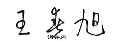 駱恆光王春旭草書個性簽名怎么寫