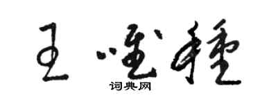 駱恆光王唯種草書個性簽名怎么寫