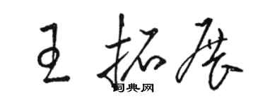 駱恆光王拓展草書個性簽名怎么寫