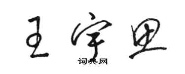 駱恆光王宇思草書個性簽名怎么寫