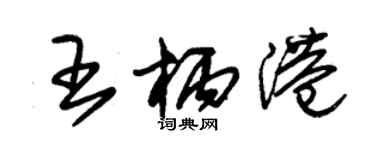 朱錫榮王柄港草書個性簽名怎么寫