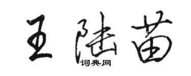 駱恆光王陸苗行書個性簽名怎么寫