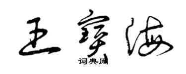 曾慶福王寶海草書個性簽名怎么寫