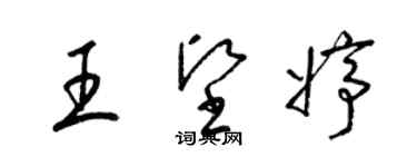 梁錦英王堅婷草書個性簽名怎么寫