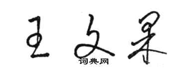 駱恆光王文果草書個性簽名怎么寫