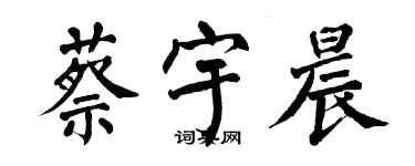 翁闓運蔡宇晨楷書個性簽名怎么寫