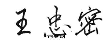 駱恆光王忠密行書個性簽名怎么寫