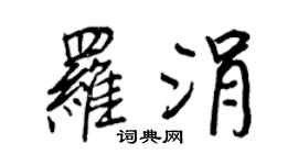 王正良羅涓行書個性簽名怎么寫