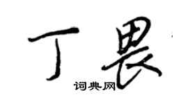 王正良丁畏行書個性簽名怎么寫