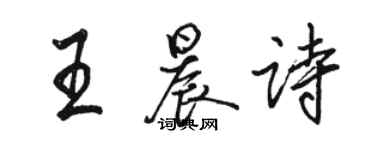 駱恆光王晨詩行書個性簽名怎么寫