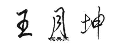 駱恆光王月坤行書個性簽名怎么寫