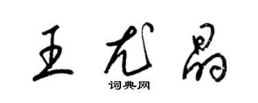 梁錦英王尤晶草書個性簽名怎么寫