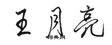 駱恆光王月亮行書個性簽名怎么寫