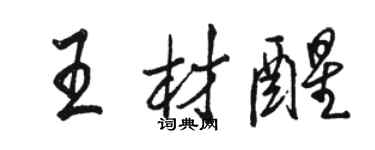 駱恆光王材醒行書個性簽名怎么寫