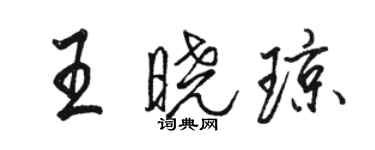 駱恆光王曉瓊行書個性簽名怎么寫