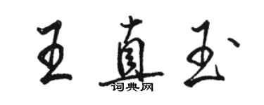 駱恆光王直玉行書個性簽名怎么寫