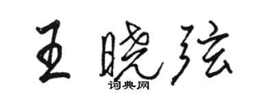 駱恆光王曉弦行書個性簽名怎么寫