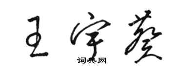 駱恆光王宇葵草書個性簽名怎么寫