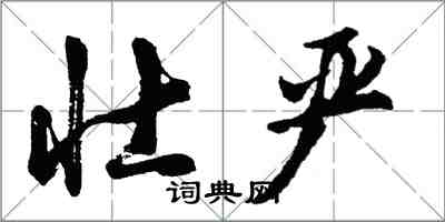 胡問遂壯嚴行書怎么寫