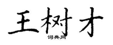 丁謙王樹才楷書個性簽名怎么寫