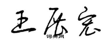 曾慶福王展宏草書個性簽名怎么寫