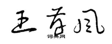 曾慶福王存風草書個性簽名怎么寫