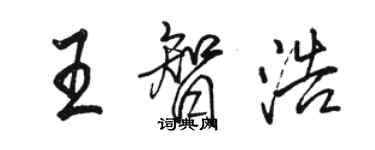 駱恆光王智浩行書個性簽名怎么寫