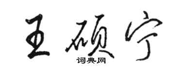 駱恆光王碩寧行書個性簽名怎么寫