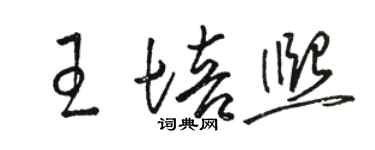 駱恆光王培熙草書個性簽名怎么寫