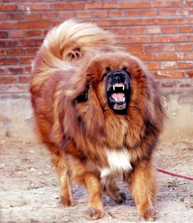 10大超自然事件 看完你還覺得這個世界是真實的嗎?(5)