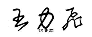 朱錫榮王力飛草書個性簽名怎么寫