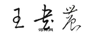 駱恆光王書農草書個性簽名怎么寫