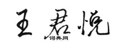 駱恆光王君悅行書個性簽名怎么寫