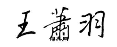 王正良王蕭羽行書個性簽名怎么寫