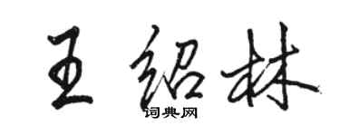駱恆光王紹林行書個性簽名怎么寫
