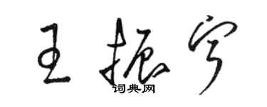 駱恆光王振寧草書個性簽名怎么寫