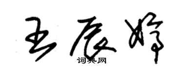 朱錫榮王辰婷草書個性簽名怎么寫