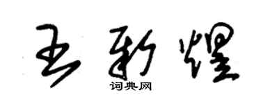 朱錫榮王新煜草書個性簽名怎么寫