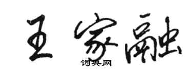 駱恆光王家融行書個性簽名怎么寫