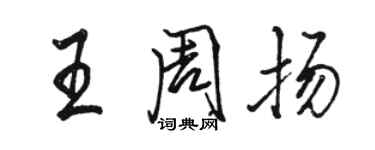 駱恆光王周揚行書個性簽名怎么寫