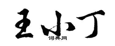 胡問遂王小丁行書個性簽名怎么寫