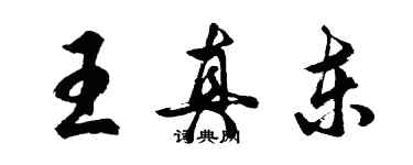 胡問遂王真東行書個性簽名怎么寫