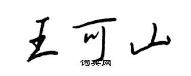 王正良王可山行書個性簽名怎么寫