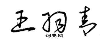 曾慶福王羽青草書個性簽名怎么寫