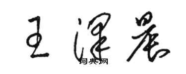 駱恆光王澤晨草書個性簽名怎么寫