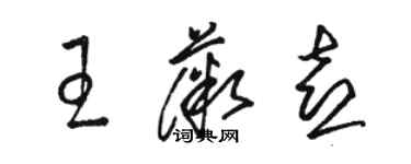 駱恆光王薇喜草書個性簽名怎么寫