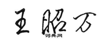 駱恆光王昭萬行書個性簽名怎么寫