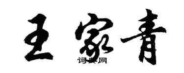 胡問遂王家青行書個性簽名怎么寫