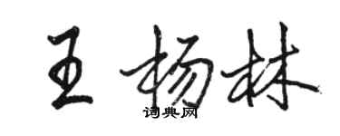 駱恆光王楊林行書個性簽名怎么寫